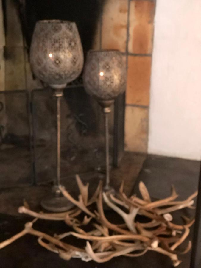 Marsfjaell Mountain Lodge Hotell I Saxnaes Kültér fotó